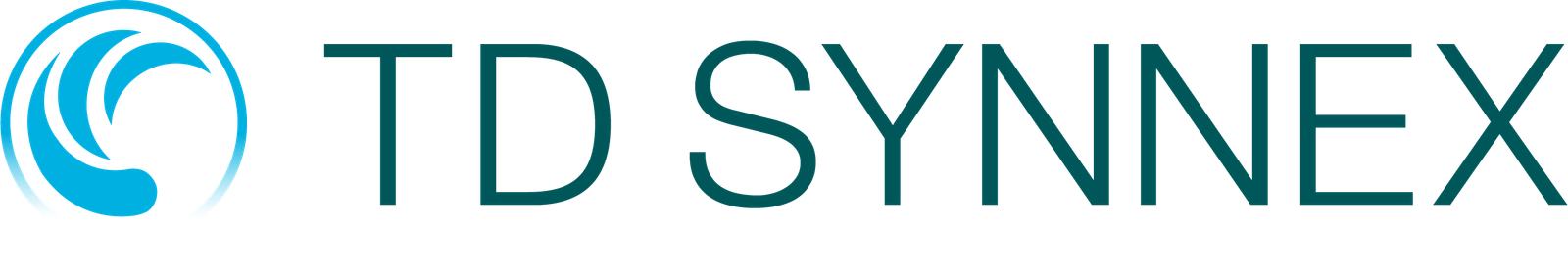 TD Synnex